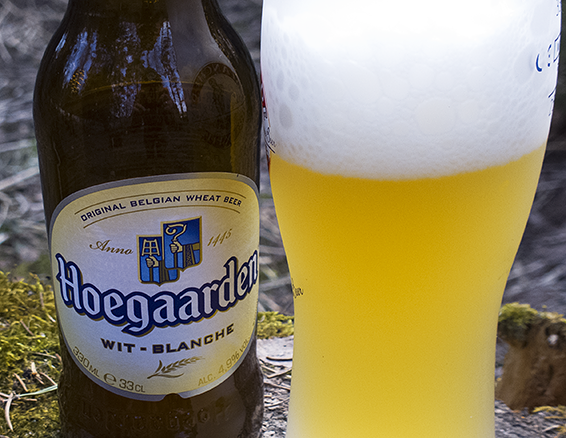 Бельгийское пшеничное. Бельгийское пиво Хугарден. Пшеничное пиво Hoegaarden. Хугарден пшеничное. Бельгийское пиво Hoegaarden 0.